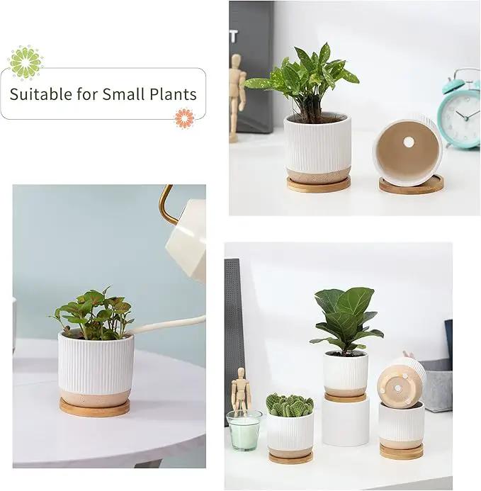 AOMRYOM 4 Inch Small Ceramic Plant Pots with Drainage Hole and Saucer, Modern Flower Planter for Succulent, Indoor Plants, Cactus, Herbs, White, Set of 4 (Plant Not Included) by GreenHaven Gardens