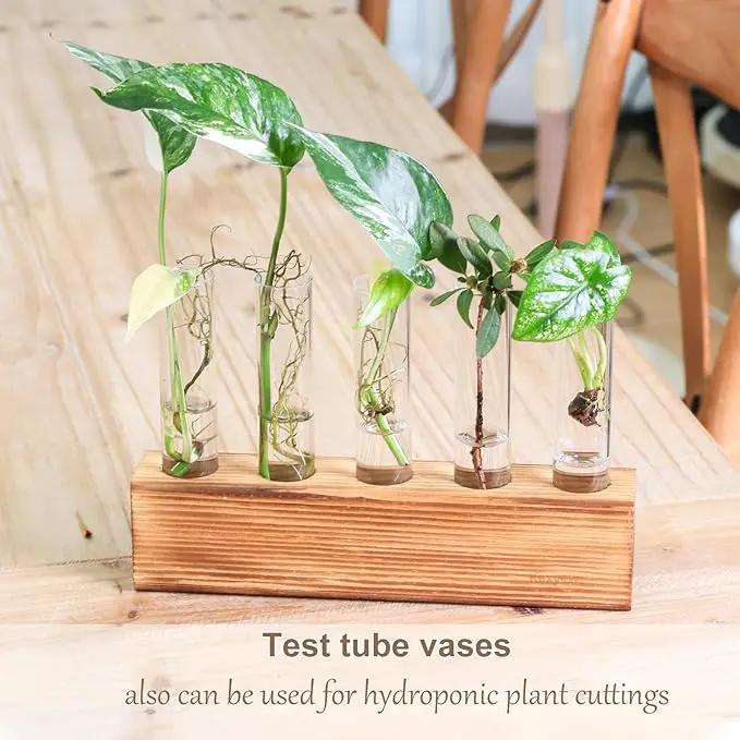 KAXYEW Glass Test Tubes with Cork Stoppers, Small Clear Glass Test Tube Plants Propagation Station for Scientific Experiments, Plant Cuttings Handmade Crafts Party Candy Storage by GreenHaven Gardens