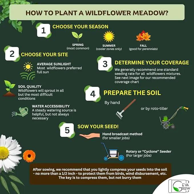 Regional Wildflower Seed Mix by GevaGrow (Midwest Wildflowers, Mini Shaker) by GreenHaven Gardens