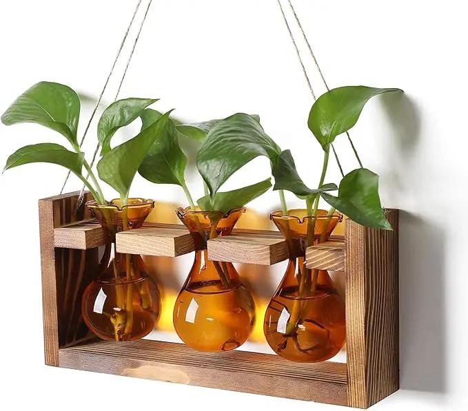 Plant Propagation Station Plant Terrarium Unique Birthday Gifts for Women Plant Lovers Home Office Decor Planter with Wooden Stand - 3 Bulb Glass Vase by GreenHaven Gardens