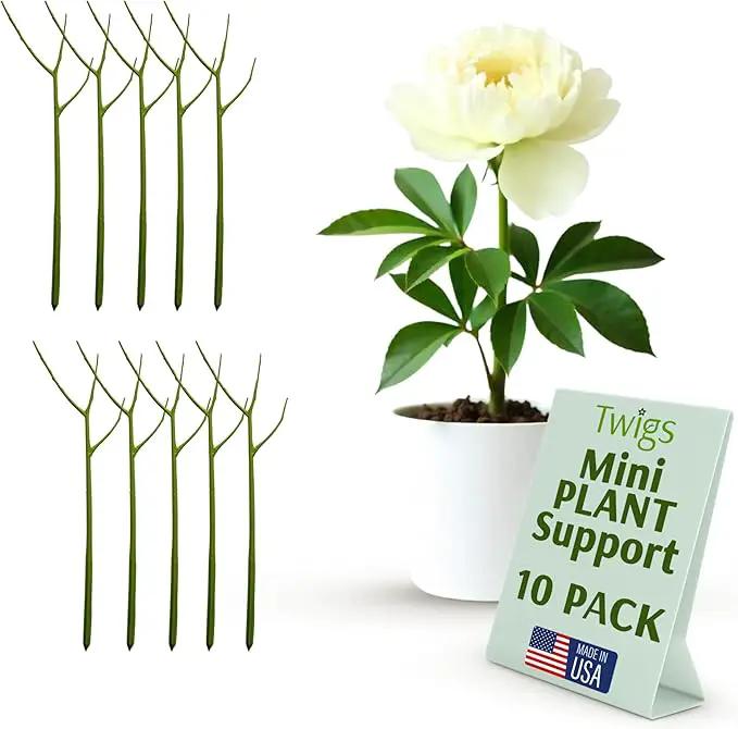 Twigs - Plant Support Stakes for Indoor, Outdoor & Climbing Plants, Gardening Supplies, Garden Accessories, Trellis & Ring Alternative, Made in USA - Peony (Light Green), 10 Pack, 12" L, Mini Twigs by GreenHaven Gardens