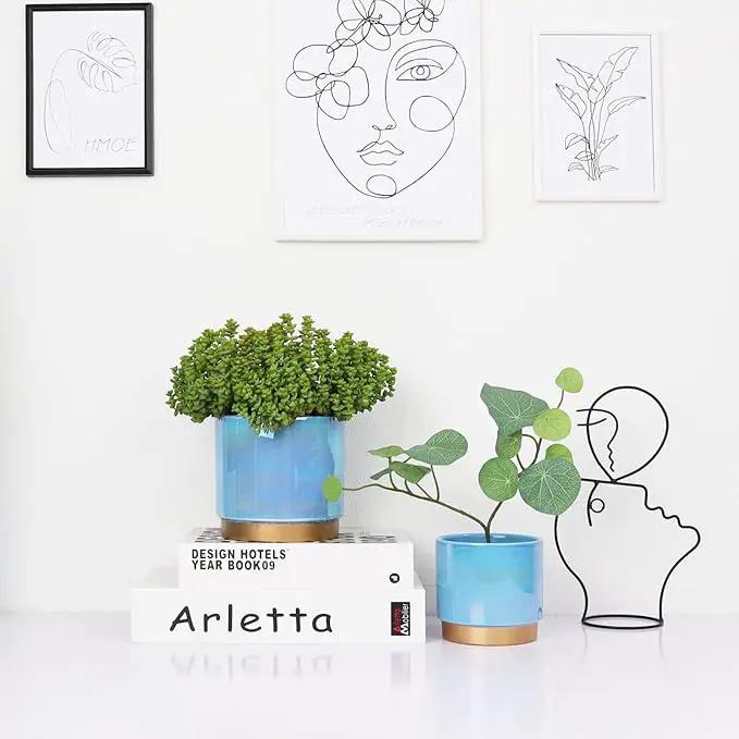 Gepege Ceramic Pots for Plants, Rainbow Pearl Glaze Planter with Drainage Hole, 6.0 inch+5.0 Inch+4.0 Inch. Indoor-Outdoor Large Round Succulent Orchid Flower Pot by GreenHaven Gardens