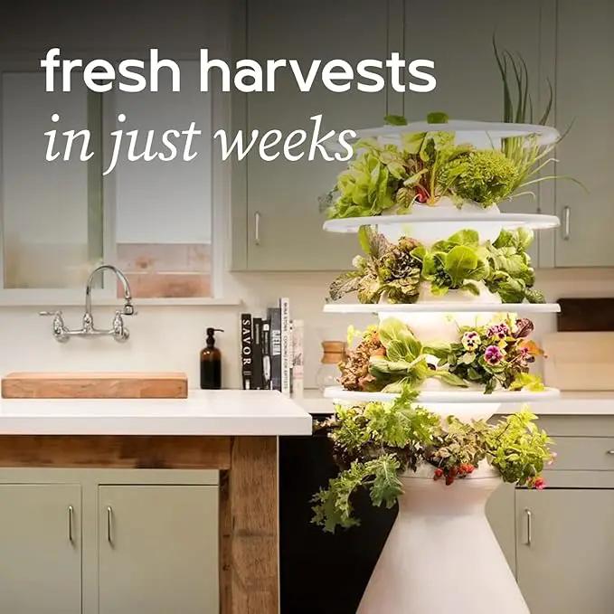 Farmstand Starter Kit with Glow Rings and 36 Seedling Credits | Large Hydroponic Growing System Kit | Vertical Garden Planter Tower | 6ft 7in Tall by GreenHaven Gardens