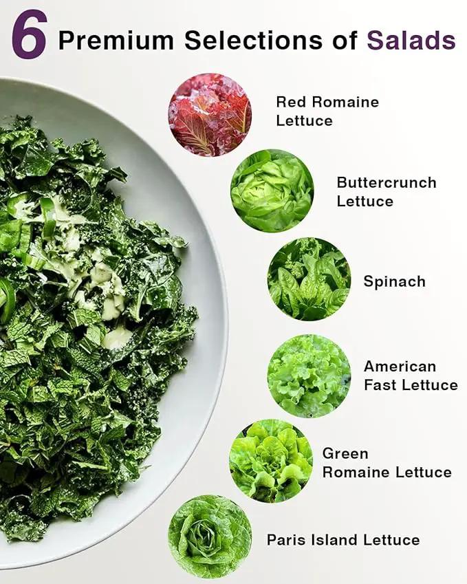 Salad Greens Seed Pod Kit for AeroGarden, iDoo, Ahopegarden, MUFGA with Red/Green Romain/American Fast/Buttercrunch/Parris Island Lettuce, Spinach - Compatible with All Garden(7-Pod) by GreenHaven Gardens