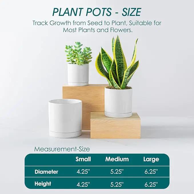 vancasso Ceramic Plant Pots, 3 Piece Planters for Indoor Plants, 4.25+5.25+6.25 Inch Flower Pots with Drainage, Plant Pots Indoor for Succulent, Pothos, Snake Plant and Money Tree, Etc (White) by GreenHaven Gardens