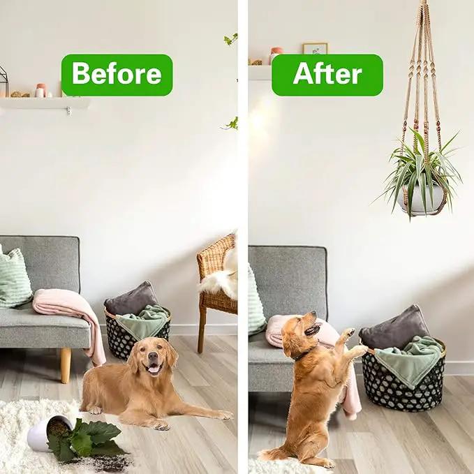 Augshy 2 Pcs Plant Hangers Hanging Plant Holder for Indoor Outdoor Decor Macrame Hanging Planter Basket with 4 Hooks(35 Inch) by GreenHaven Gardens