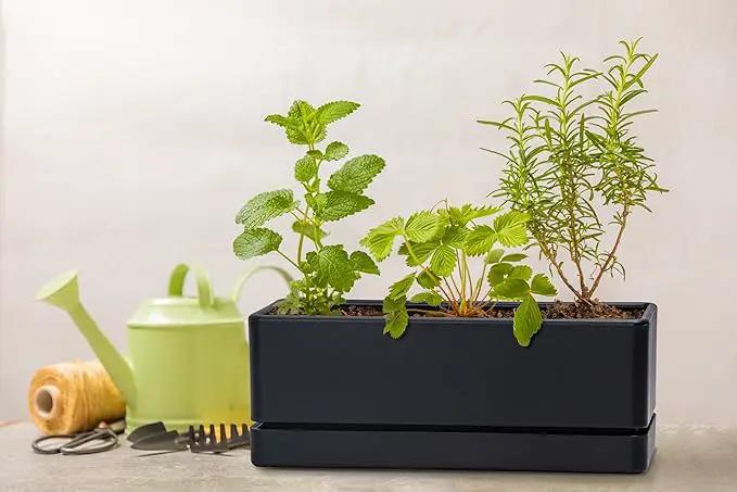 D'vine Dev 12 Inch Window Box Planter, Rectangle Plastic Herb Planter with Drainage Holes and Saucer, Indoor Succulent Cactus Vegetable Pot for Windowsill, Garden Balcony, Black, Set of 2, 76-X-B-2 by GreenHaven Gardens