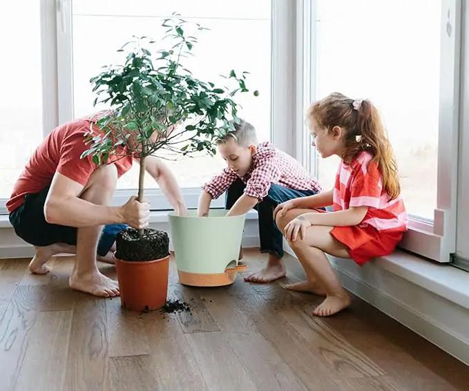 Self Watering Green Plastic Plant Pot Flower Planters with Drainage Hole And Deep Reservoir Large Planting Pots for for All Houseplants,Succulent, African Violets, Flowers and Cactus 12Inch/2pcs by GreenHaven Gardens