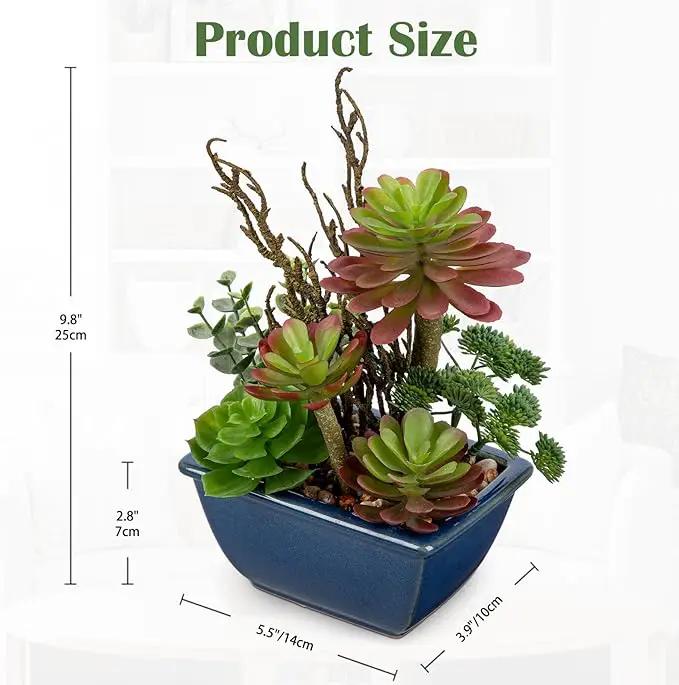 Small Faux Plant Assorted Fake Succulents Plants with Glazed Ceramic Pot Faux Succulents Arrangement Cement Potted Desk Plants Small Fake Plants for Home Table Office Bathroom Shelf Living Room Decor by GreenHaven Gardens