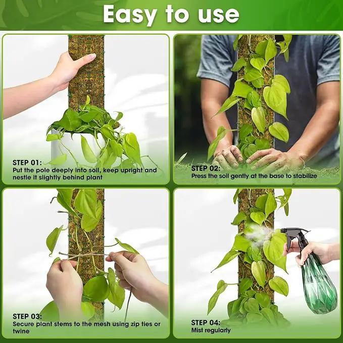 DUSPRO 59’’ D-Shape Moss Pole for Climbing Plants Monstera Moss Plant Pole Handmade Moss Stick for Indoor Plants Grow Upward (59'', 1pc.) by GreenHaven Gardens
