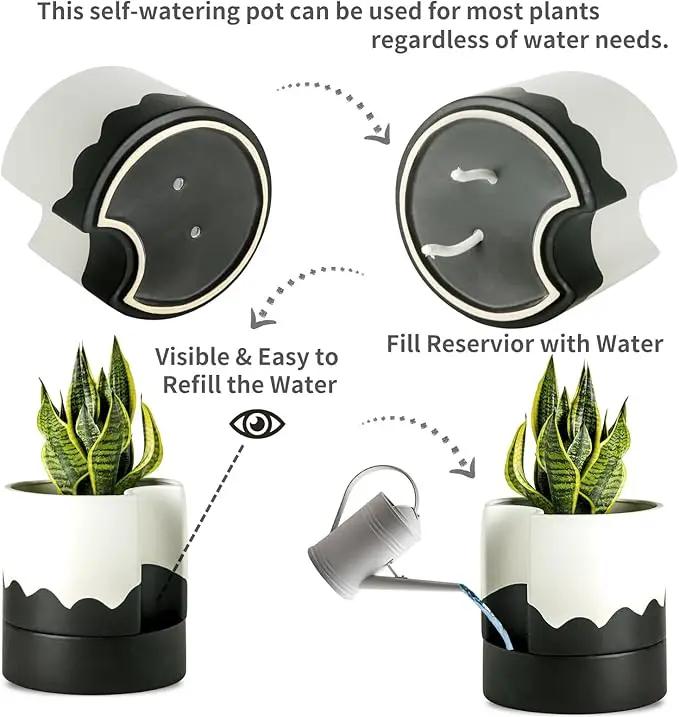 Nihow Self Watering Plant Pot: 8 Inch Ceramic Planter with Drainage Hole & Water Storage Plus for Indoor & Outdoor Plants - Cylinder Round Flower Pot for Succulent/Herbs/Violets - White & Wave Black by GreenHaven Gardens