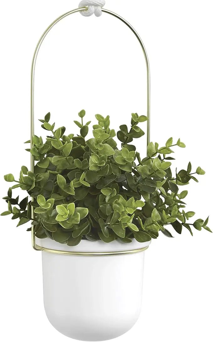 Umbra Triflora Hanging Planter for Window, Indoor Herb Garden, Set of 3, White/Brass by GreenHaven Gardens