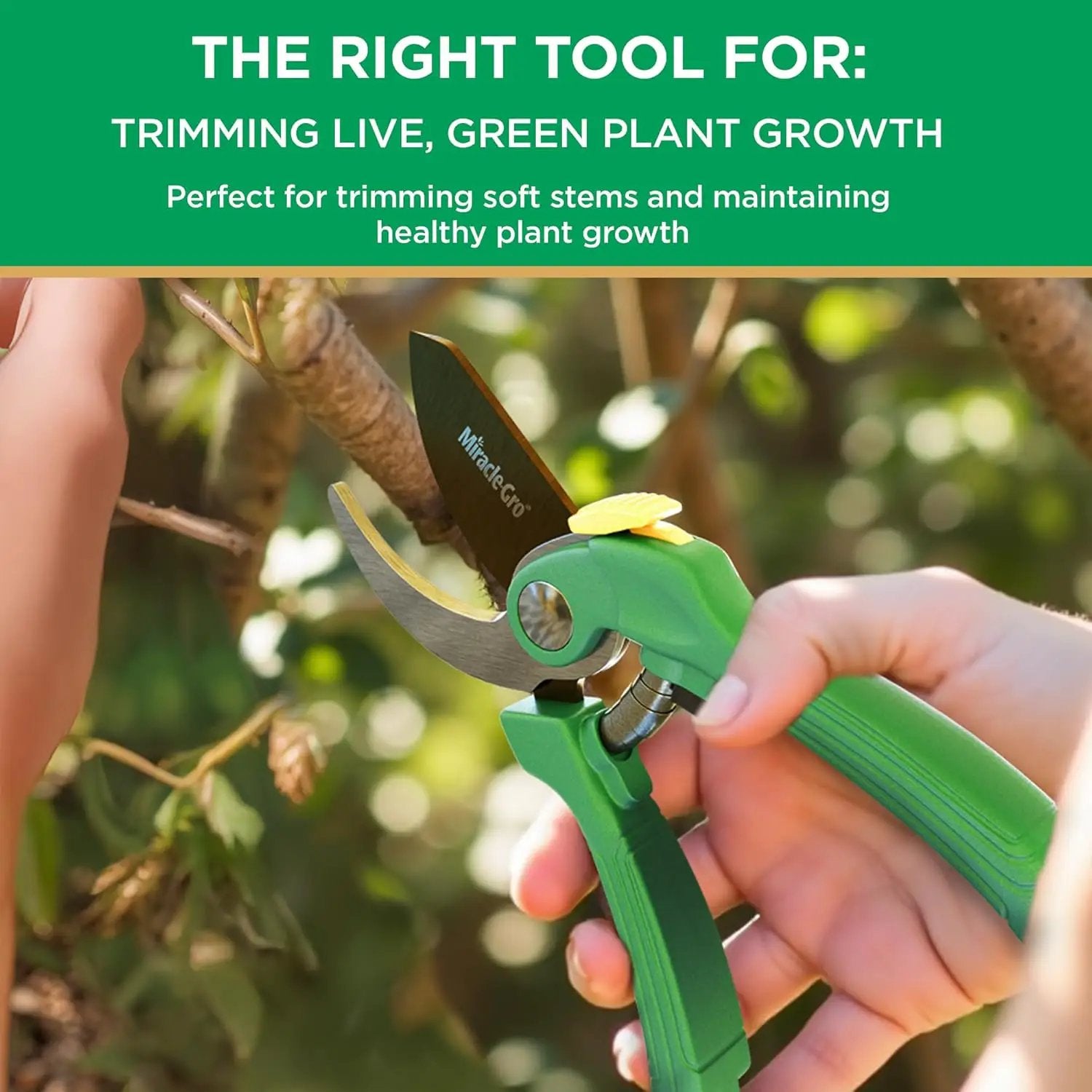 Miracle-Gro 8 in. Bypass Pruning Shears – 1/2 in. Cutting Capacity; Gardening Hand Pruner with Sharp Carbon Steel Blade and Non-Slip Grip – Lightweight Garden Tool for Live Plants and Soft Stems by GreenHaven Gardens