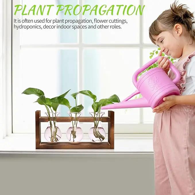 Plant Propagation Station Plant Terrarium Unique Birthday Gifts for Women Plant Lovers Home Office Decor Planter with Wooden Stand - 3 Bulb Glass Vase by GreenHaven Gardens