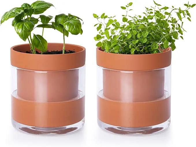 Phoenix Vine 4 Inch Self Watering Planter Pot, Terracotta Clay Pot with Glass Reservoir for Indoor Plants, Herbs, Flowers, Set of 2, 52-A-E-2 by GreenHaven Gardens