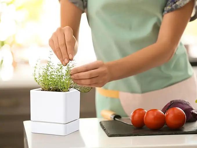 4 Inch Herb Planter Pot, Plastic Planter with Drainage Holes and Saucer, Modern Decorative Gardening Pot for Indoor Plants, Flowers, Herbs, Succulents, White, Set of 2, 76-Y-A-2 by GreenHaven Gardens