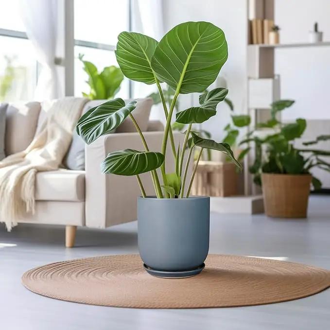 Pots for Plants 12 Inch - Ceramic Planter for Indoor Outdoor Plants Large Plant Pot with Drainage Hole and Saucer Outdoor Flower Pot Gray by GreenHaven Gardens