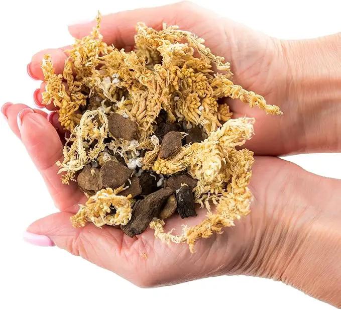 Premium Sphagnum Moss, Perlite and New Zealand Pine Bark Blend for Carnivorous Plants - Perfect for Venus Fly Traps, Pitcher Plants, Sarracenia, Butterworts, and Sundews by GARDENERA - 1 Quart Bag by GreenHaven Gardens