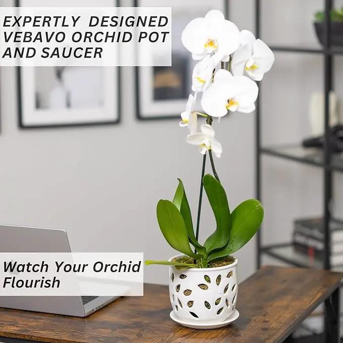 Orchid Pot with Holes & Saucer Ceramic 6.5 in. Indoor or Outdoor Large Pot for Orchid Care & Root Health with Precise Aeration & Drainage – Durable for Repotting or New Plants by GreenHaven Gardens