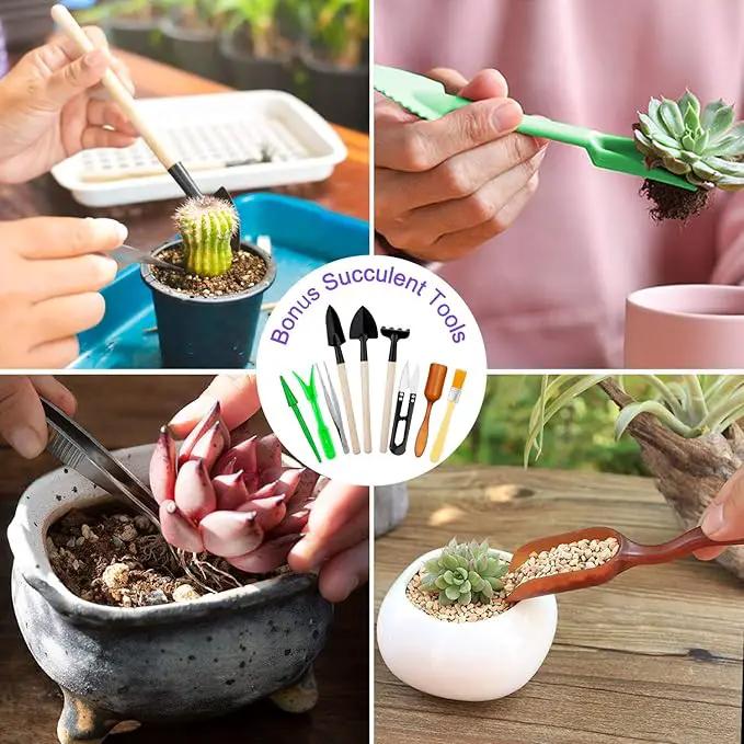 Garden Tools Set 83 Piece Succulent Tools Set Included, Heavy Duty Aluminum Gardening Tools for Gardening, Ergonomic Handle Tools, Storage Tote Bag, Gifts Tools for Men Women (Red) by GreenHaven Gardens