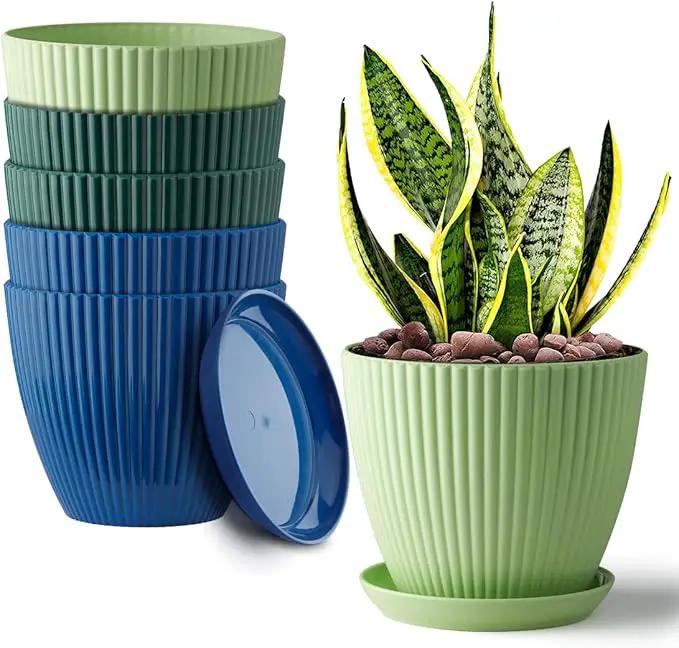 6 Pack Plant Pots with Drainage Holes and Saucers 6 Inch Plastic Planter with 3 Colors Indoor and Outdoor Flower Pots by GreenHaven Gardens