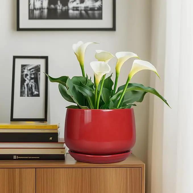G EPGardening Ceramic Plant Pots - 9 Inch Flower pots for Indoor Outdoor Plant, Round Planter with Drainage and Saucer, Modern Home Decor, Gift for Women Men, Red by GreenHaven Gardens