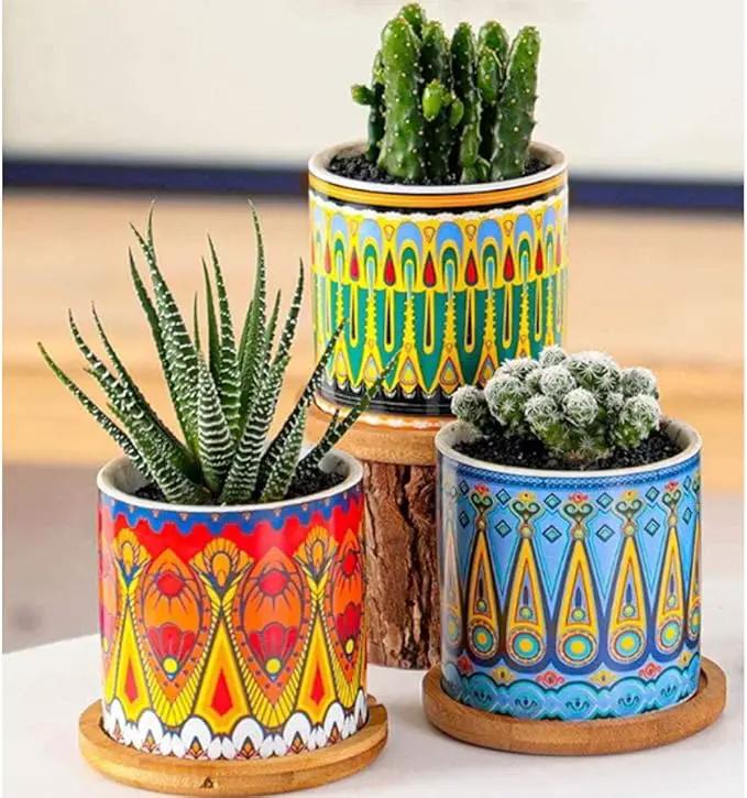Mandala Succulent Pot with Drainage Hole & Bamboo Coaster, Small Plant Pots, Bohemian Ceramic Succulent Planter Pot for Small Plant-6 Pack by GreenHaven Gardens