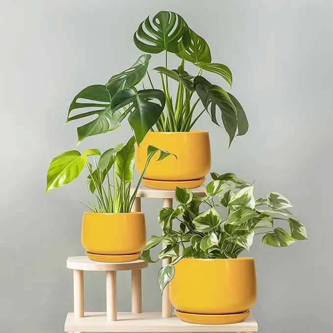 G EPGardening Ceramic Pots for Plants - 7 Inch Plant Pot with Drainage Hole and Saucer, Modern Ceramic Planter for Indoor Outdoor, Round Flower Planter, Gifts for Plants Lovers, Home Decor, Yellow by GreenHaven Gardens