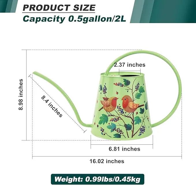 Berry&Bird House Plants Watering Can - Indoor & Outdoor 1/2 Gallon Stainless Steel Water Can with Long Spout Garden Decoration for Flower Bonsai Succulent Gardening Large Watwer Bottle(2L/Robin) by GreenHaven Gardens