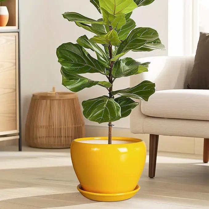 8 Inch Plant Pot - Glaze Modern Round Ceramic Planter for Indoor Outdoor Plants with Drainage Hole and Saucer for Home Patio Room Office Decor, Yellow by GreenHaven Gardens