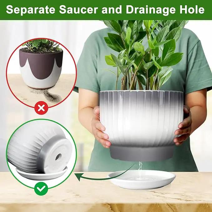 8 Inch Plant Pot, Ceramic Planter with Drainage and Saucer, Ceramic Pots for Plants, Indoor Plant pots,Ceramic Flower pots(Gray + White, Plants NOT Included) by GreenHaven Gardens