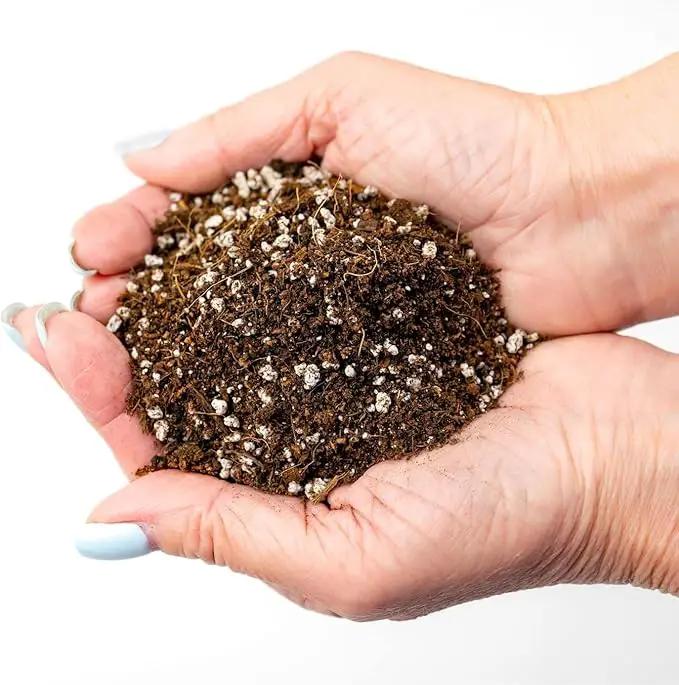 Premium Organic Seed Starter Soil - 3 Quart - All-Purpose Organic Potting Soil for Happy Seedlings and Plants by Gardenera by GreenHaven Gardens