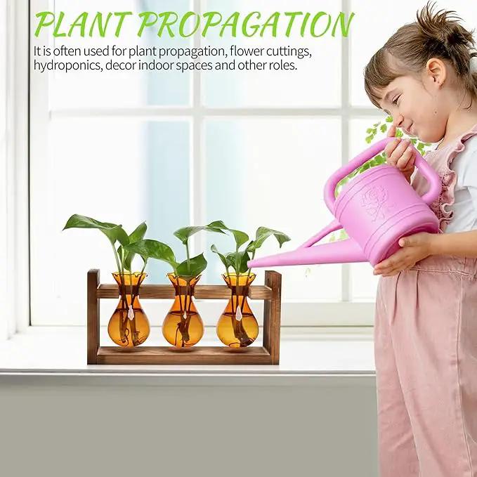 Plant Propagation Station Plant Terrarium Unique Birthday Gifts for Women Plant Lovers Home Office Decor Planter with Wooden Stand - 3 Bulb Glass Vase by GreenHaven Gardens