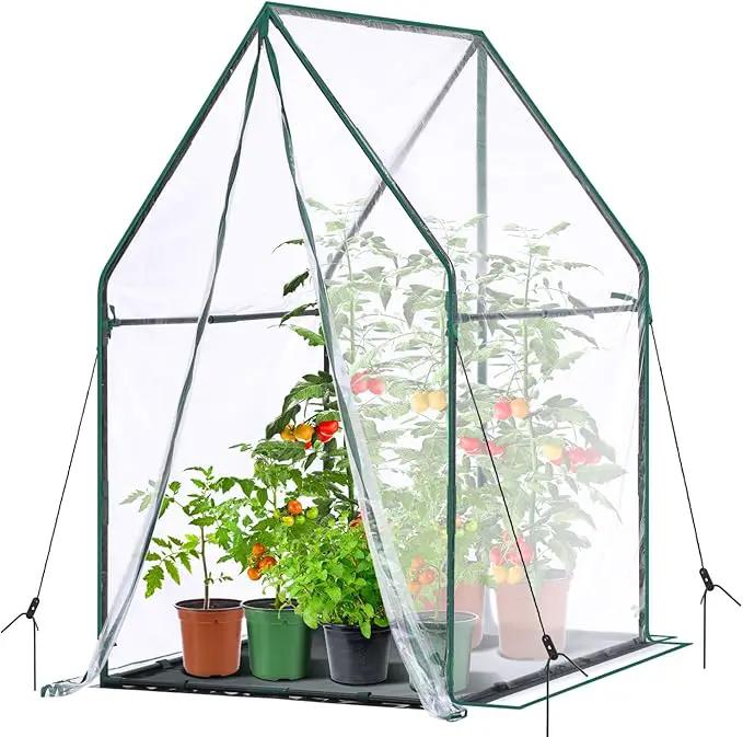 Mini Greenhouse for Indoor Outdoor: Ohuhu Portable Green House with Waterproof Pad for Small Plants Nursery Germination, 36"x36"x58.5" Heavy-Duty PVC Cover Tent Humidity Dome Seedling Accessory by GreenHaven Gardens