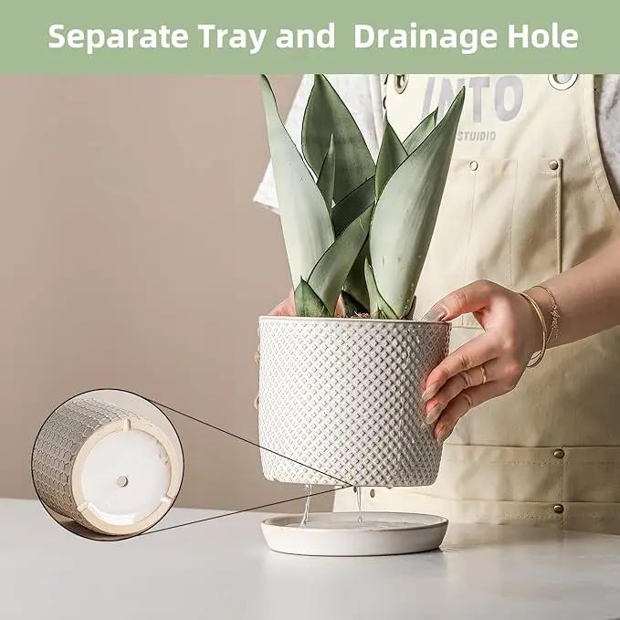 5.8 Inch Plant Pots: Ceramic Planter with Drainage Hole & Saucer - Flowerpot for Indoor & Outdoor Plants - Beaded Embossed Design White - with Separate Tray by GreenHaven Gardens