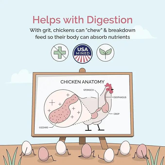 Chicken Grit for Layer & Grower Chickens Age 8-20+ Weeks - 100% Natural Mineral Chicken Grit Quartzite, Poultry Grit, USA Mined, 4 lbs by GreenHaven Gardens