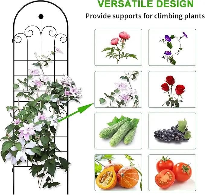 LZRS 2 Pack 71x20in Rustic Iron Arch Decoration Garden Trellis with Black Metal Coating – Perfect for Supporting Climbing Plants Outdoor, Roses, Vines, Flowers, and Vegetables. by GreenHaven Gardens