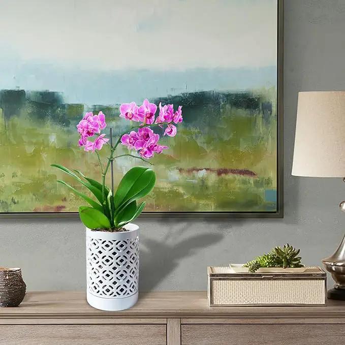 Orchid Pot 4 Inch, Orchid Pots with Holes & Saucers for Repotting, Breathable Slotted Orchid Pots Flower Plant Nursery Pot White by GreenHaven Gardens