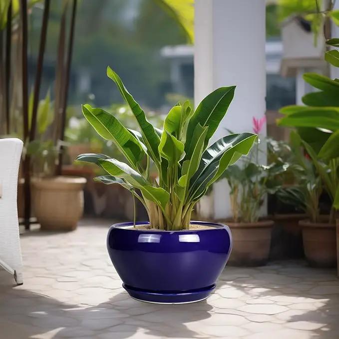 Ceramic Planter - 13 Inch Indoor Plant Pot for Plants with Drainage Hole and Saucer Large Planter Round Outdoor Flower Pot Mid-Century for House Patio Room Decor Blue by GreenHaven Gardens