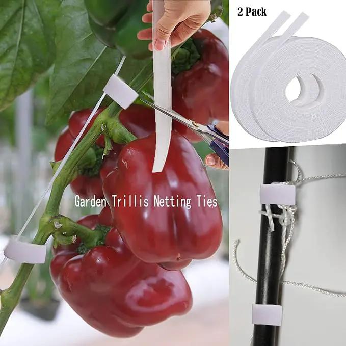 All-Weather Trellis Netting Mesh Plant Garden Vine Growing Flexible String Net (6" Mesh ployester, 5' Wx 60'L) by GreenHaven Gardens
