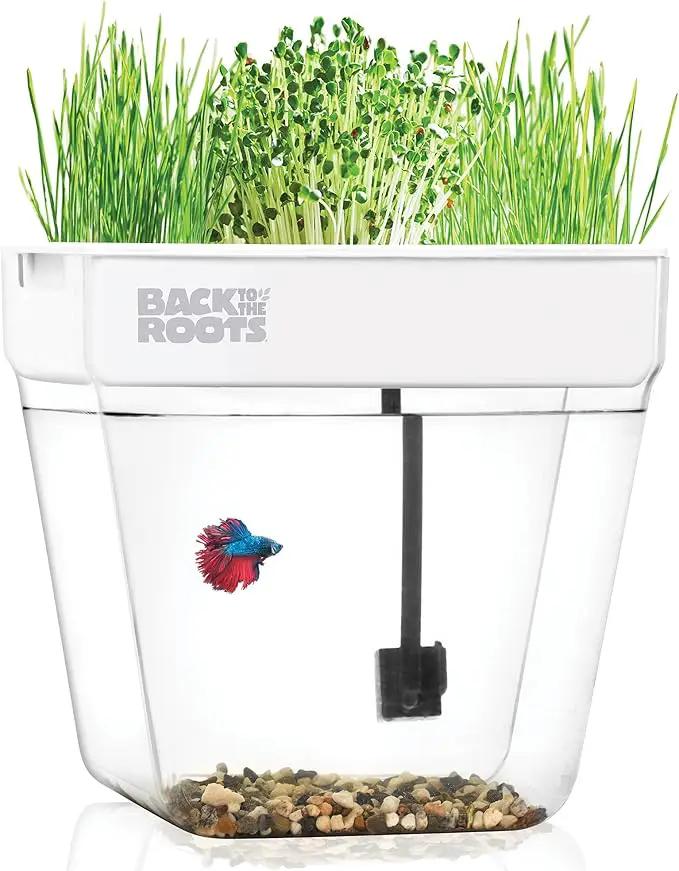 Back to the Roots Indoor Aquaponic Garden - 3 Gallon Self Watering, Mess-Free Planter and Self-Cleaning Fishtank for Herbs, Microgreens, Bamboo, Succulents, and Houseplants, support Fish by GreenHaven Gardens