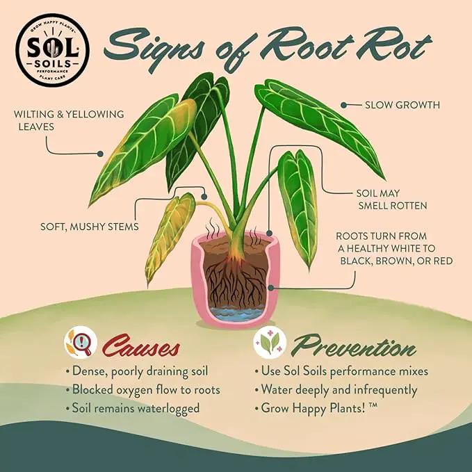 Sol Soils Chunky Houseplant Mix - Fast Draining Soil for Indoor Plants with Coco Coir Chips, Perlite, & Pumice, 1 Gallon by GreenHaven Gardens