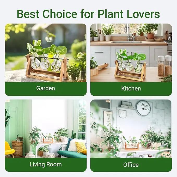 Ivolador I Plant Propagation Station, Bulb Plant Terrarium with Wooden Stand, Unique Gardening Gifts for Women, Hydroponic Indoor Planter, Home Office Garden Wedding Decor - 3 Bulb Glass Vases by GreenHaven Gardens