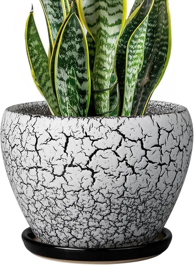 Ceramic Plant Pot 8 Inch - Ceramic Planter for Indoor Plants, Round Flower Pot with Drainage Hole and Saucer, Glaze White and Black by GreenHaven Gardens
