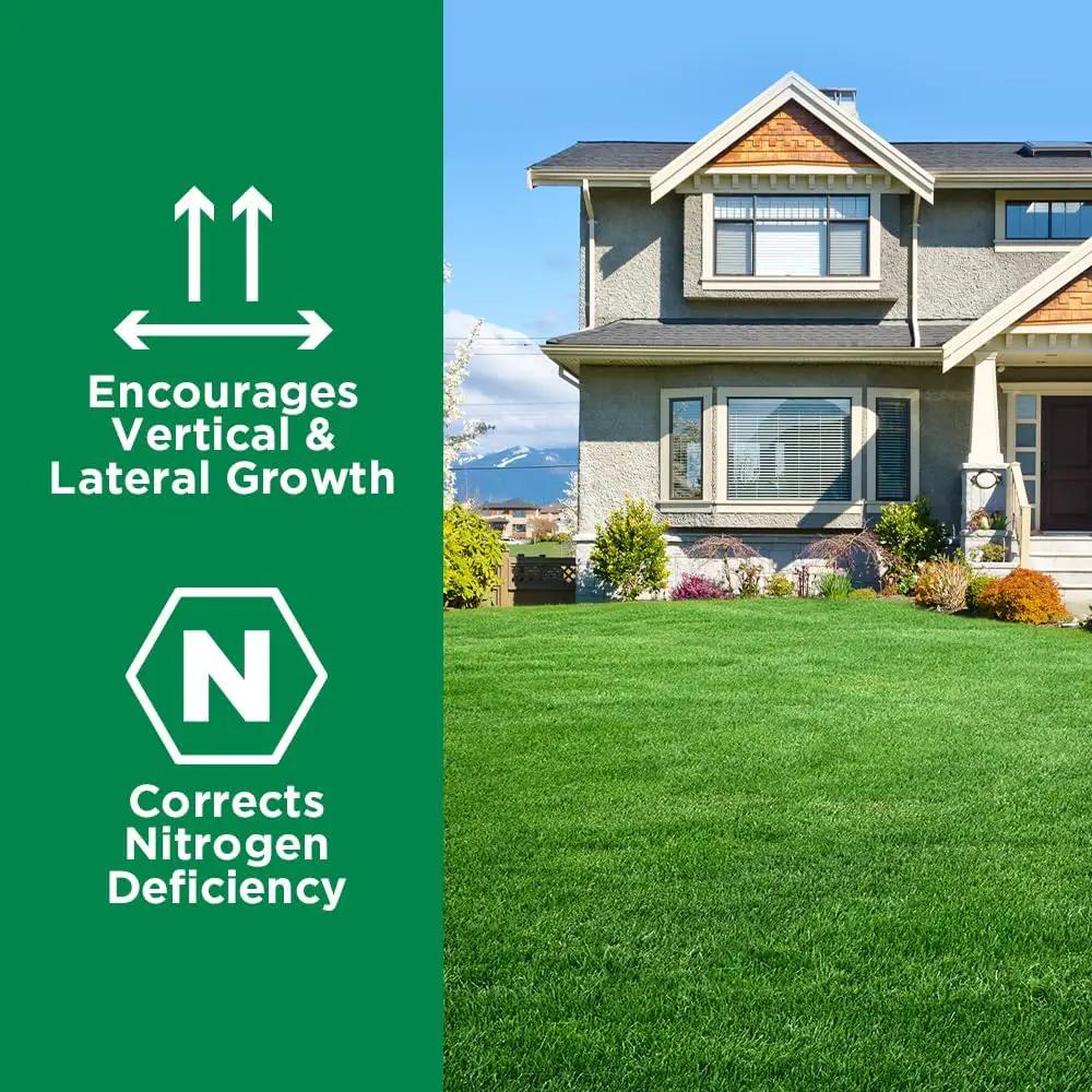 Maximum Green & Growth Fertilizer High Nitrogen 28-0-0 Liquid Lawn Food Spray Spring & Summer- Any Grass Type- Simple Lawn Solutions - Concentrated Quick & Slow Release Attached Sprayer (32 Ounce) by GreenHaven Gardens