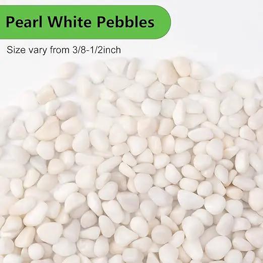 5 lbs White Pebbles for Vases, 3/8" Small Plant Rocks for Pots Indoor, Decorative Pea Gravel for Succulents, Bamboo, Terrarium, Landscape, Garden by GreenHaven Gardens