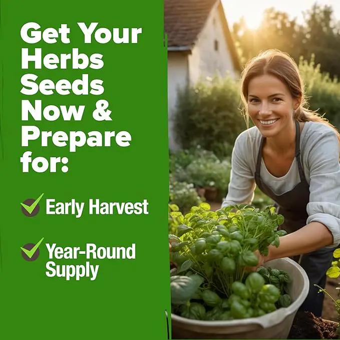 HOME GROWN 10 Herb Seeds for Planting 3,000+ Non-GMO Heirloom Seeds | Extra Large Variety Pack Herb Kit – Indoor Outdoor & Hydroponic | Culinary Seed Set | Grow Your Own Herbs | Gift for Beginners by GreenHaven Gardens