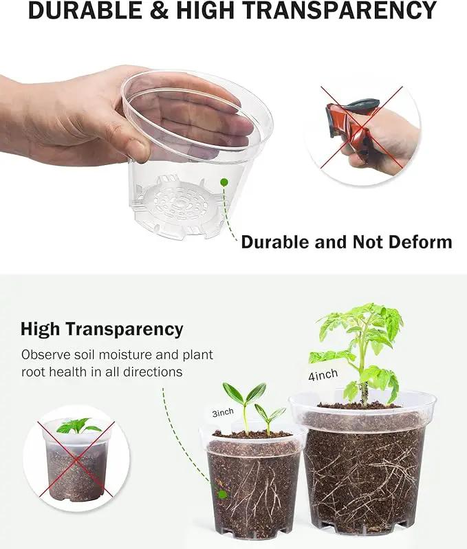 homenote Clear Nursery Pots for Plants,4 Inch Plant Pot for Planting Plastic Seedling with Drainage Holes Seed Starter Flower High Transparency with 20 Labels (60 Pack) by GreenHaven Gardens