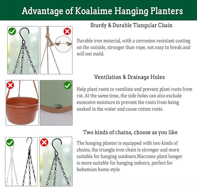Hanging Planter Self Watering 10 Inch, 2 Pack Indoor Outdoor Hanging Baskets, Hanging Flower Pots with Drainage Hole & 2 Kinds of Plant Hangers for Garden Home Decor(Grey)… by GreenHaven Gardens