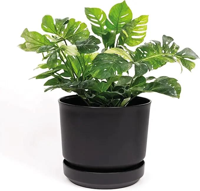 Elly Décor 8 inch Plastic Cylinder Planter Pot with Self-Watering Saucer and Drainage Hole,Lightweight & Extremely Durable, 8"x 8", Black by GreenHaven Gardens